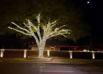 30 Days Until the Lights