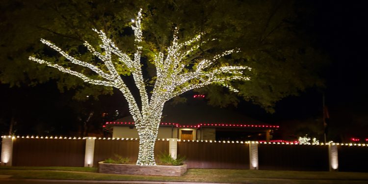 30 Days Until the Lights