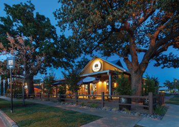 Christmas season in an excellent time to rediscover Downtown