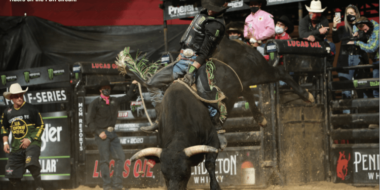 The Best 8 Seconds in All of Sports