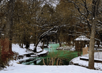 The Great Cold Rush of 2021