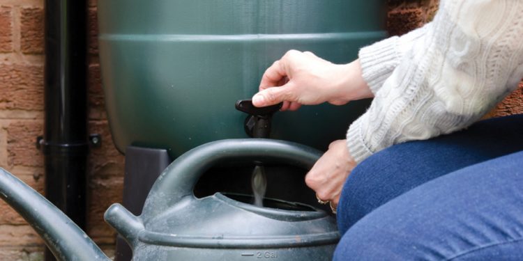 It’s all about the water