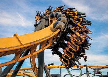 OK. I think I’ll just watch you do that