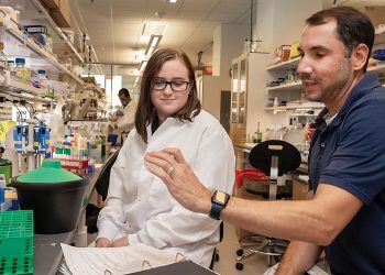 Killing bugs: UTA team earns a grant to try to thwart burgeoning drug-resistant bacterial infections