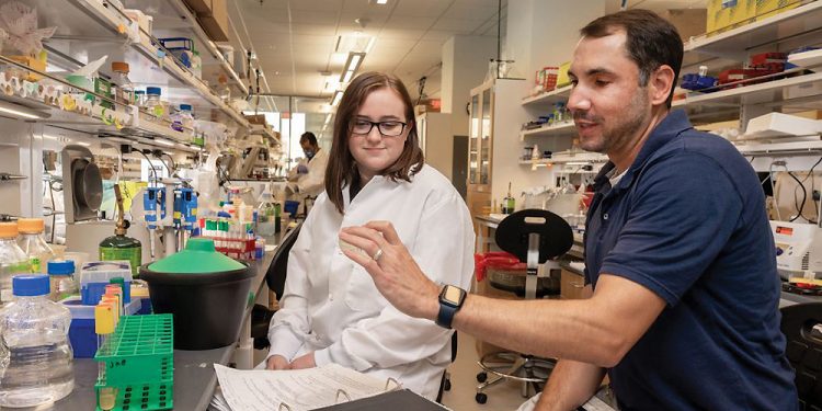 Killing bugs: UTA team earns a grant to try to thwart burgeoning drug-resistant bacterial infections