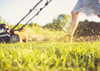 Spring Into Action: How Spring Cleaning Contributes to Our Calm