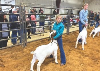 Mansfield FFA gets ready for the show