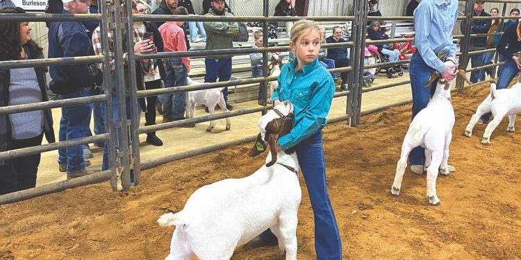 Mansfield FFA gets ready for the show