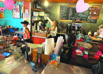 Flying Squirrel Coffee Shop