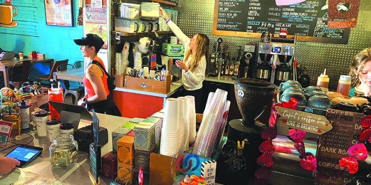 Flying Squirrel Coffee Shop