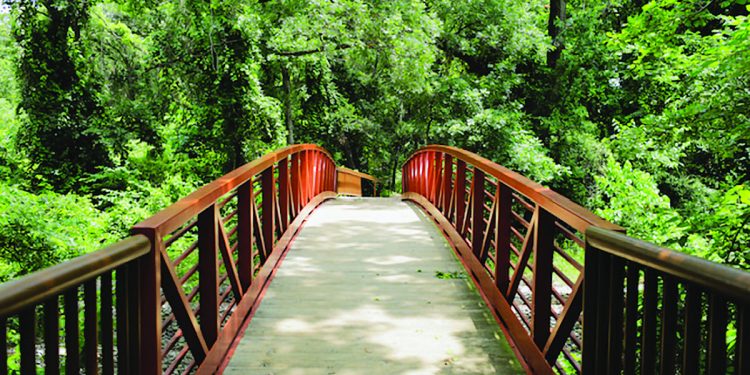 Arlington Parks’ centennial celebration offers a nod to the past, and a path to the future