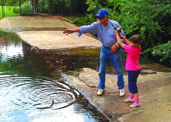 A Really Good Neighbor