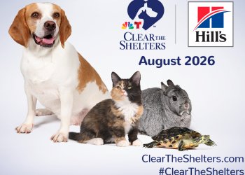 Find Your New Best Friend During Clear the Shelters Campaign