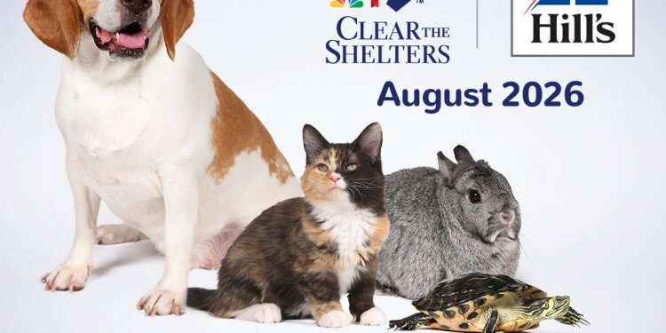 Find Your New Best Friend During Clear the Shelters Campaign